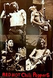 Red Hot Chili Peppers Four Live Pics 24X36 Poster