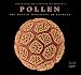 Pollen: The Hidden Sexuality of Flowers Pollen: The Hidden Sexuality of Flowers