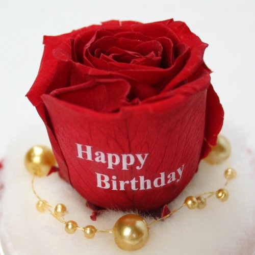 Cover image : メッセージローズ (Preserved Rose) ローズドーム S1～情熱のラブジャック～レッド 【リボン付き】【Happy Birthday】 22214