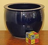 51MDrdWkwmL. SL160  AT7064 Blue Porcelain Fishbowl, Contemporary, China, Porcelain (Ci), Chinese Home Furnishings, Porce Reviews
