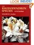 The Rhododendron Species: Azaleas