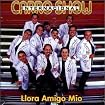 Llora Amigo Mio