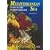 The Mediterranean Sea: Guide to the Underwater Life (Diving guides)