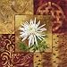 Asian Influence II Art Poster Print by Dwight Wood, 24x24