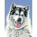 Paint By Number Kit 9 Inch X12 Inch -Frisky Husky