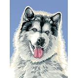 Eigenschaften Dimensions / Frisky Husky Malen nach Zahlen