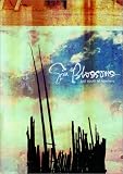 Gin Blossoms - Just South of Nowhere