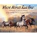 Favorite Adult books with horses