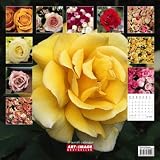 2012 A&I Roses Grid Calendar