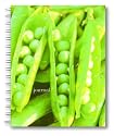 Barefoot Contessa Farm Stand Wire-O Bound Journal (Potter Style)