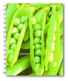 Barefoot Contessa Farm Stand Wire-O Bound Journal (Potter Style)