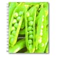 Barefoot Contessa Farm Stand Wire-O Bound Journal (Potter Style) by Ina Garten