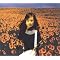 mr.children