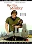 Bye Bye Monkey