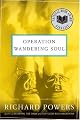 Operation Wandering Soul