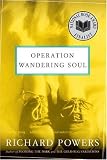 Operation Wandering Soul