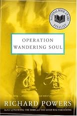 Operation Wandering Soul