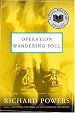 Operation Wandering Soul