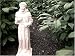 Saint Francis Garden Statue