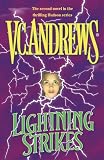 Lightning Strikes (Andrews, V. C. Hudson Family Series.)