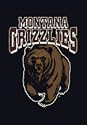 Montana Grizzlies 4' x 6' Team Door Mat