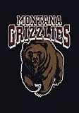 Montana Grizzlies 22 &acute; x 33 &acute; Team Door Mat - B0001H0JU8