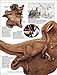 Dinosaur (DK Eyewitness Books)