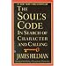 The Soul's Code: In Search of Character and Calling