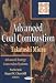 Advanced Coal Combustion Advanced Energy Conversion Systems