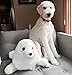 PARI THE SEAL - The World's Softest, Cutest, Cuddliest Plush Baby Harp Seal Toy (Large 24