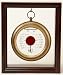 Galileo Thermometers Desktop Style with Red Sphere