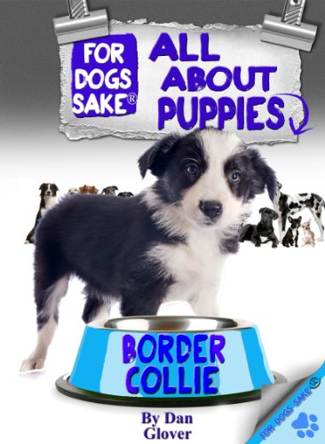 All About Border Collie Puppies