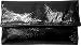 Nicole Miller Women's Rumer Clutch Purse