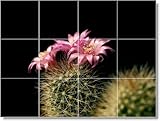 Flower Photo Kitchen Tile Mural F171 | 12.75x17 using (12) 4.25x4.25 tiles