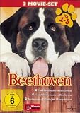 Ein Hund namens Beethoven 1-3 Box