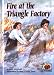 Fire at the Triangle Factory (Carolrhoda on My Own Books)