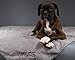 Dog Blanket (Gray)
