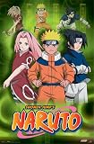 Naruto College Poster Print, 22x34