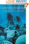 Discoveries: Underwater Archaeology (Discoveries (Harry Abrams))