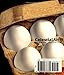 Totally Eggs Cookbook