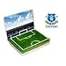 Everton FC Grow Your Own Goodison Park Pitch_s-1