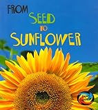 From seed to sunflower