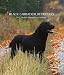 Black Labrador Retrievers 2007 Weekly Calendar
