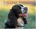 Book Just English Springer Spaniels 2006 16-Month Wall Calendar