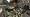 Call of Duty 3 (PS3)