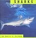 Sharks (Animals)