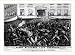 Historic Print (L): Fanny Ellsler's last seranade or the soap-locks disgraceful attac...