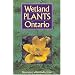 Wetland plants of Ontario