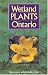 Wetland Plants of Ontario