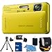 Sony Cyber-Shot DSC-TX10 16.2 MP Waterproof Digital Still Camera with Exmor R CMOS Sensor, 3D Sweep Panorama and Full HD 1080/60i Video (Green)8GB Bundle - Includes DSC-TX10 (Green) Digital Camera, 8 GB Memory Card, Camera Carrying Case, Memory Card Re